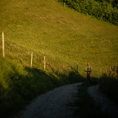 Handsome young man biking on a mountain bike enjoying healthy active lifestyle outdoors in summer (shallow DOF)