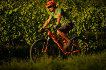 Handsome young man biking on a mountain bike enjoying healthy active lifestyle outdoors in summer (shallow DOF)