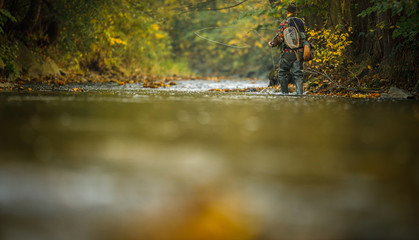 Close-up view of the hands of a fly fisherman holding a lovely trout while  fly fishing on a splendid mountain river