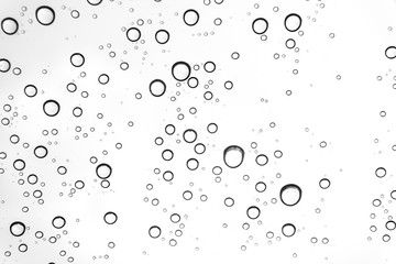 Fototapeta premium Rain drops on window glasses surface Natural Pattern of raindrops. Natural pattern of raindrops on white background for your design.