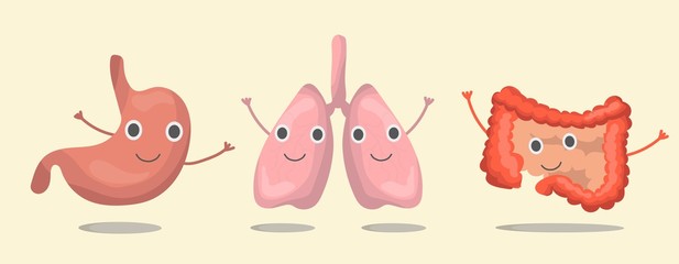 The set internal organs  stomach, lungs, intestines of the human body, smolders, waves its hands. Vector illustration in eps10, graphic design. Colorful icon