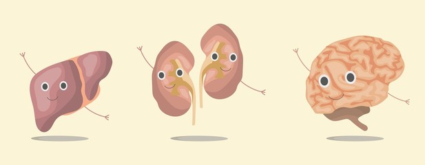 The set internal organs liver, kidneys, brain of the human body, smolders, waves its hands. Vector illustration in eps10, graphic design. Colorful icon