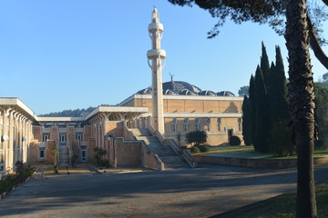 Fototapeta na wymiar Moschea di Roma