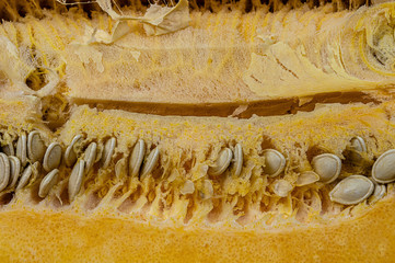 pulp organic orange pumpkin with seed close up