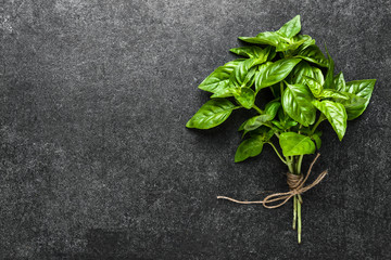 Bunch of basil with fresh green basil leaves on dark background