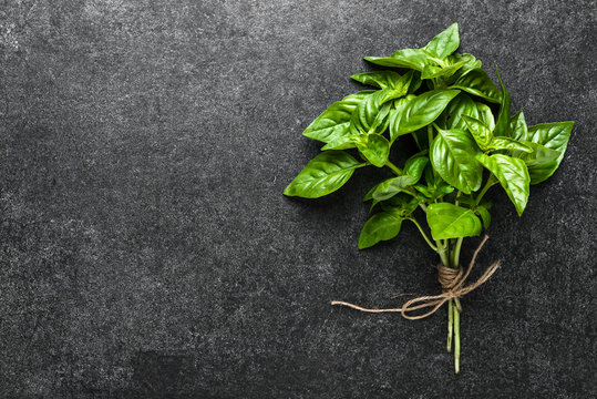 Bunch of basil with fresh green basil leaves on dark background