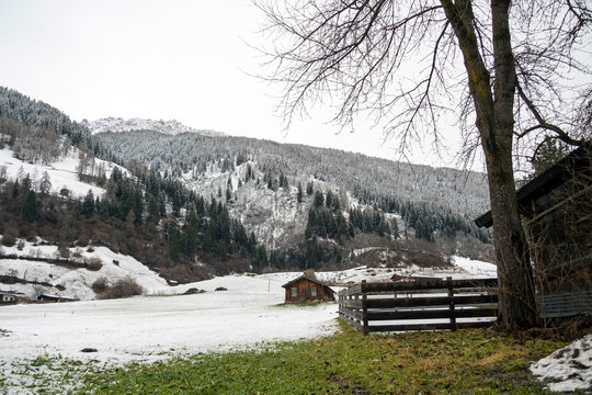 Winter Snow Scene