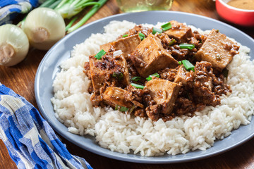 Mapo Tofu - sichuan spicy dish served with rice