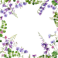 Background of watercolor blue and pink wild flowers