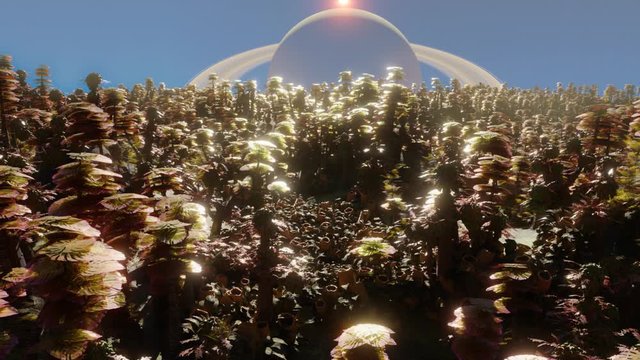 alien planet landscape, exotic forest on the surface of a habitable extraterrestrial world