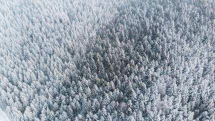Abstract Winter Wonderland. Pine Trees Snow Covered. Aerial Drone view