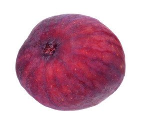 one fig fruit isolated on a white background