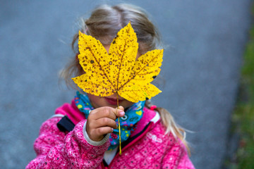 Herbst - Kind - Ahornblatt - Mädchen