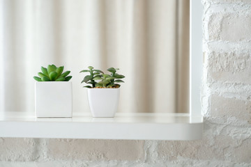 白い室内に置かれた観葉植物