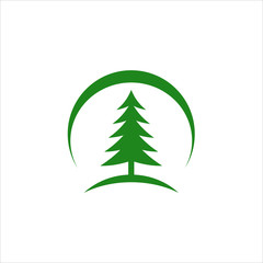 Winter vector concept. Green spruce illustration. Graphic design for holidays.