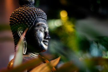 buddha statue in interior garden at tropical bar in thailand