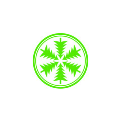 Winter vector concept. Green spruce illustration. Graphic design for holidays.