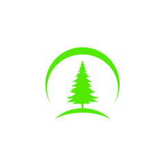 Winter vector concept. Green spruce illustration. Graphic design for holidays.