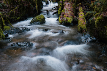 Fototapeta na wymiar Forest stream flowing beside the trail in Munson Falls State Park, Southern Oregon, blurred, long exposure
