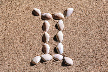 Gemini Zodiac sign made of seashells on sand background