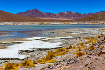 Bolivia, the southwest of the Altiplano, Potosi Department. Eduardo Avaroa Andean Fauna National...