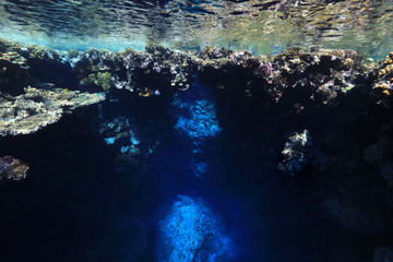 Underwater cave and coral reef