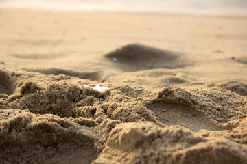 Sand Background Stock Photo