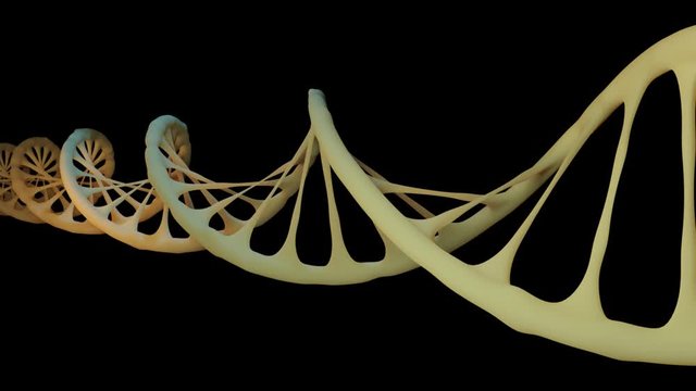 Dna Helix Loop Version2