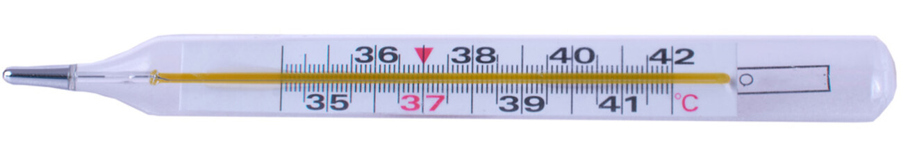 mercury medical thermometer