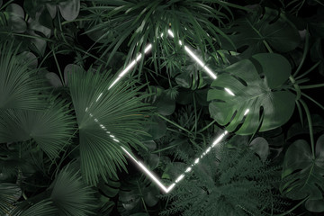3d rendering of rotated square neon light covered with tropical leaves. Flat lay of minimal natural style concept © Brilliant Eye