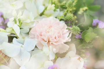 Close up beautiful Pink  rose flower bouquet;