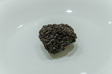 Raw black truffles on a plate