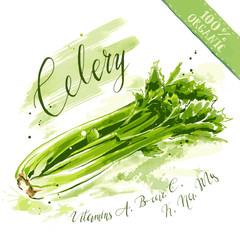 Organic health food for vegetarians and health care. Raw celery