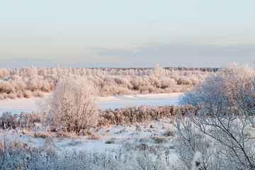 Winter landscape. Dry grass, bushes and trees in hoarfrost in a white field covered with snow....
