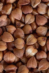 Texture background grain buckwheat groats. Macro photo.