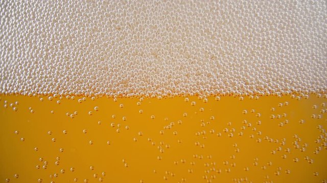 Rising Beer Foam - Slow Motion