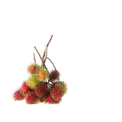 Rambutan or fruit on summer on white background.