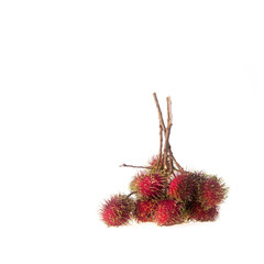 Rambutan or fruit on summer on white background.