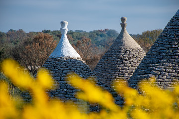 Roof of Trulli with yellow defocused flowers, traditional old houses and old stone wall in Puglia,...
