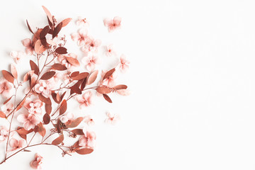 Flowers composition. Eucalyptus branches, pink flowers on white background. Valentines day, mothers day, womens day concept. Flat lay, top view, copy space