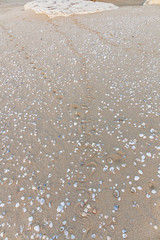 Traces of snake in the sand. Sand Texture. Background from brown sand. selective focus