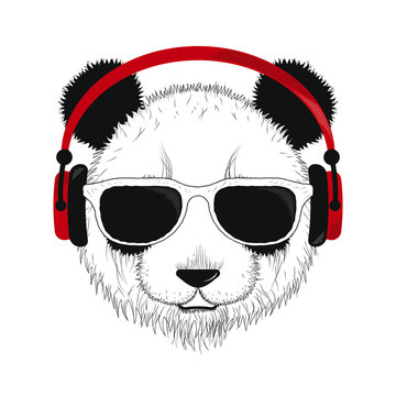 Panda with glasses and headphones.