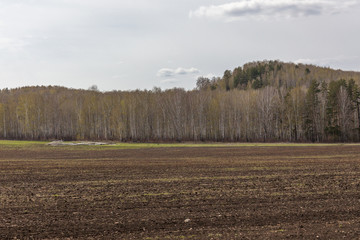 Fototapeta na wymiar field is ready sowing. Spring, Russia. Cloudy sky