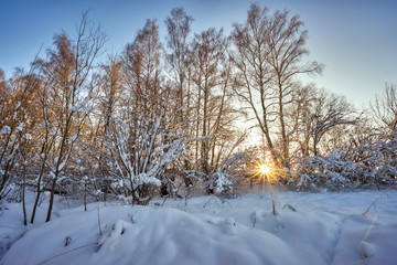 Sunset in a snowy winter forest