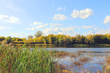 autumn landscape with river