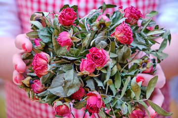 A woman holds a bouquet of dried flowers after the wedding. Red rose female palms when did the romance end, close-up.