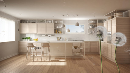 Fluffy airy dandelion with blowing seeds spores over white and wooden kitchen with island, stools and parquet floor. Interior design idea. Change, growth, movement and freedom concept
