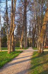 Alley at Abramtsevo colony. Russia