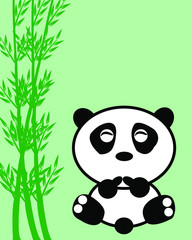 Black and white panda isolated on green background. Face of shy. Bamboo tree.