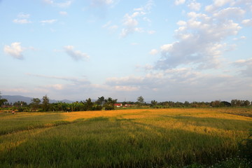 タイ、チェンマイの田舎の夕景